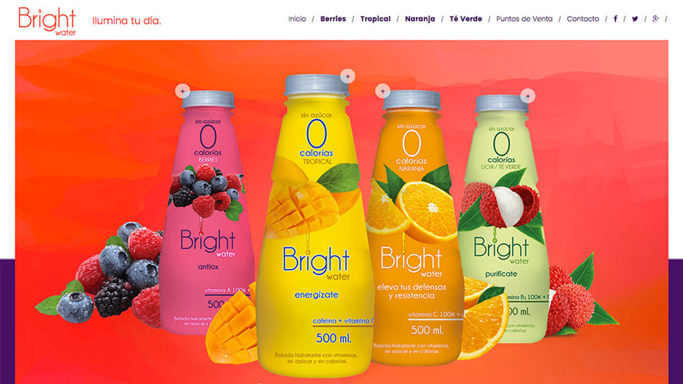 Diseño web Bright Water